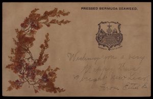 Stanley Gibbons Bermuda Postal History